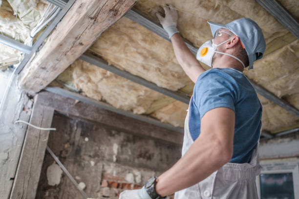 Best Geographic-Specific Insulation Services in Irvington, NY