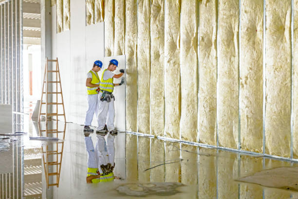 Best DIY Insulation Kits and Guidance in Irvington, NY